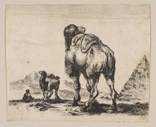 Plate 18: camel viewed from behind with pyramid at right, from 'Various animals' (Di..., after 1641. Creator: Unknown.