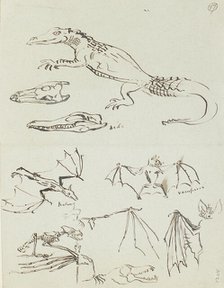 Humorous sketches of crocodiles and bats, c1870s. Creator: Henry Hugh Armstead.