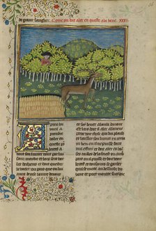 A Hunter Spotting a Deer; Livre de la Chasse, about 1430-1440. Creator: Unknown.