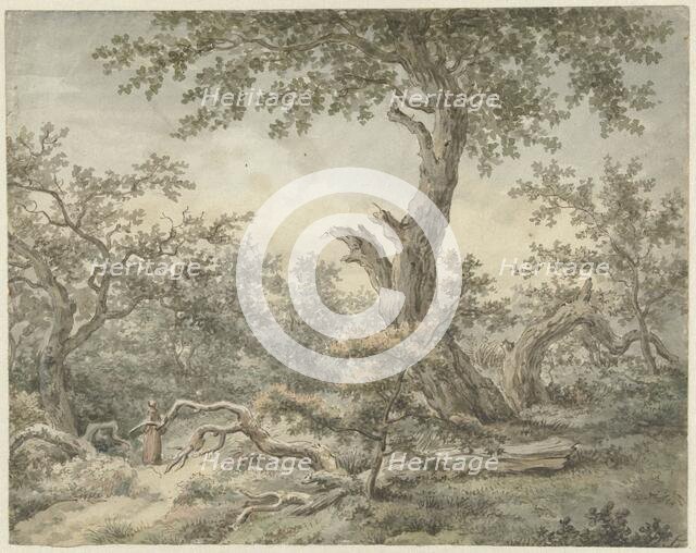 Forest landscape, 1756-1826. Creator: Cornelis Buys.