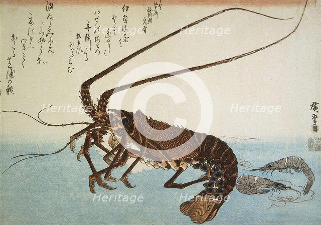 Lobster and Shrimps, 1832-1834.  Creator: Hiroshige, Utagawa (1797-1858).