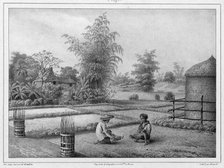 View of the Interior, Luzon Island, Philippines, 19th century. Creators: Friedrich Heinrich Kittlitz, Victor Adam, Godefroy Engelmann.