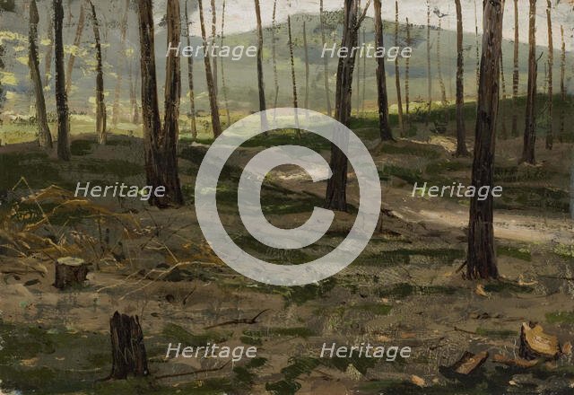 Landscape from Rath, 1880. Creator: Victor Westerholm.