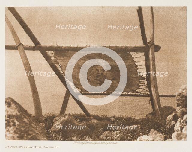 Drying Walrus Hide, 1928. Creator: Edward Sheriff Curtis.