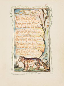 Songs of Innocence and of Experience: The Tyger, ca. 1825. Creator: William Blake.