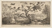 Ficedula, Piuoyne (The Bullfinch): Livre d'Oyseaux (Book of Birds), 1655-1660., Creator: albert flamen.