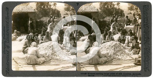 Women sorting large piles of silk cocoons, Antioch, Syria, 1900s.Artist: Underwood & Underwood