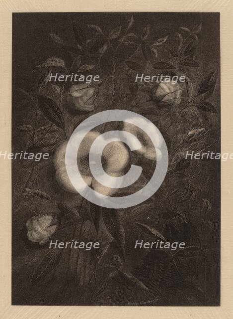 Wild Roses, 1883. Creator: Elbridge Kingsley.