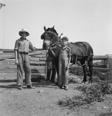Possibly: Hired man helps the farmers' oldest boy on the Myers farm, Washington, Yakima County, 1939 Creator: Dorothea Lange.