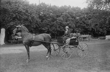 Isabelle [i.e. Isabella] Wanamaker, 1917. Creator: Bain News Service.