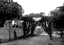 Arrival, and Subsequent Death, of Lady Carter at Lagos: triumphal arch opposite Christ Church, 1895. Creator: George Meisenbach.