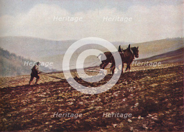 'Scotland', c1930s. Artist: Unknown.