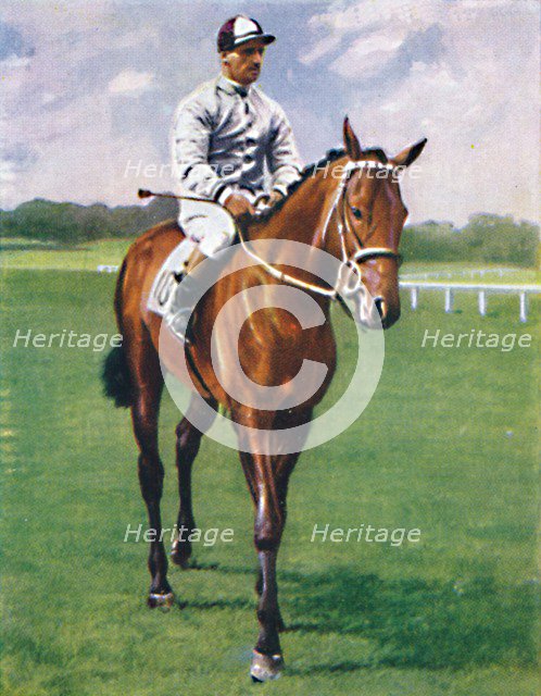 Foxglove II. Jockey: G. Richards', 1939. Artist: Unknown.