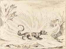 Salamander Surrounded by Flames. Creator: Jacques Callot.