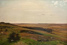 Hillside near Horsens, afternoon, 1858. Creator: Vilhelm Kyhn.