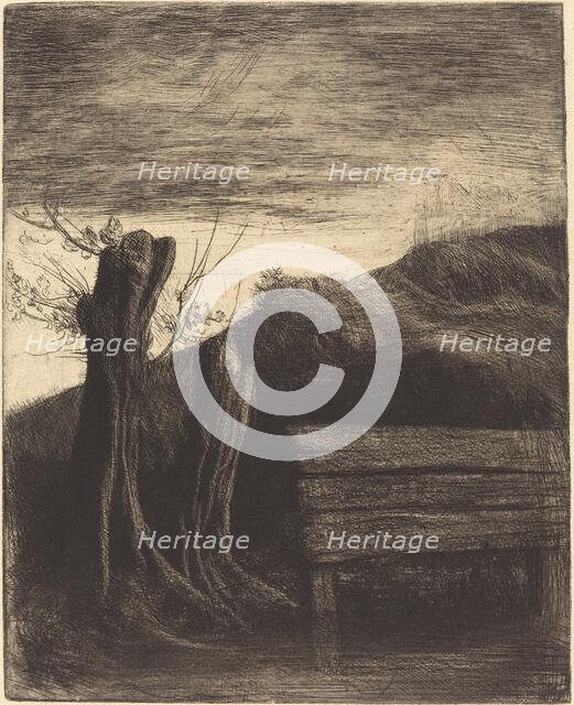 Pollard Willows (Les saules tetards). Creator: Alphonse Legros.