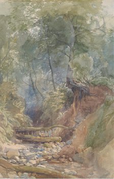 A Stream Near Clovelly, North Devon, 1850. Creator: John Middleton.