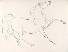 A Horse, 1825-1839. Creator: James Howe.