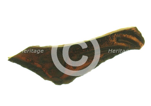 Glass Fragment, French, 12th-14th century. Creator: Unknown.