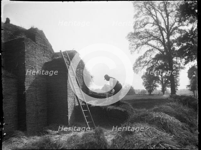 Clench, Milton Lilbourne, Wiltshire, 1923. Creator: Katherine Jean Macfee.