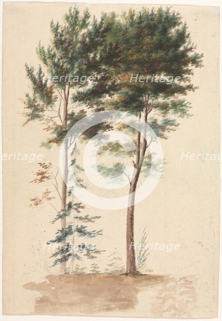 Trees, 1700s(?). Creator: Jean Baptiste Pillement (French, 1728-1808).