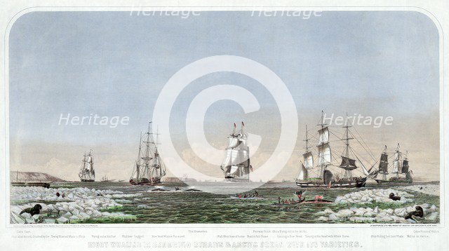 Right Whaling in Behering Straits & Arctic Ocean with its Varieties, pub. 1871 (colour lithograph)
