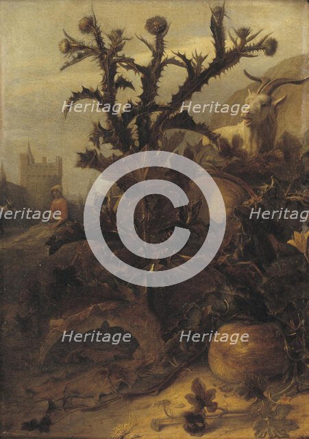 Thistle, Pumpkin and a Goat, 1675. Creator: Lambert Doomer.