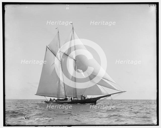 Foam, between 1880 and 1899. Creator: Unknown.