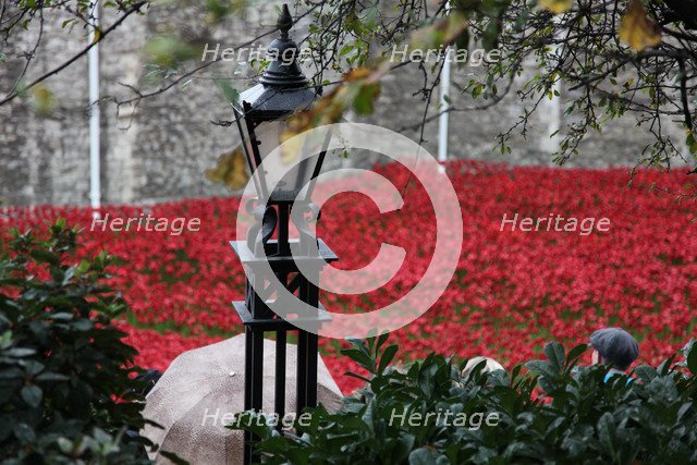 'Blood Swept Lands and Seas of Red', Tower of London, 2014.  Artist: Sheldon Marshall