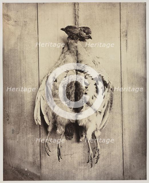 Partridges (recto); L.D. Campbell's Tomb (verso), c. 1861. Creator: Captain N. Baily (British); John Hamilton Craigie (British).