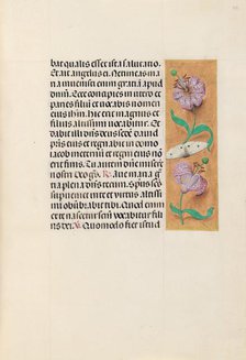 Hours of Queen Isabella the Catholic, Queen of Spain: Fol. 163r, c. 1500. Creator: Master of the First Prayerbook of Maximillian (Flemish, c. 1444-1519); Associates, and.