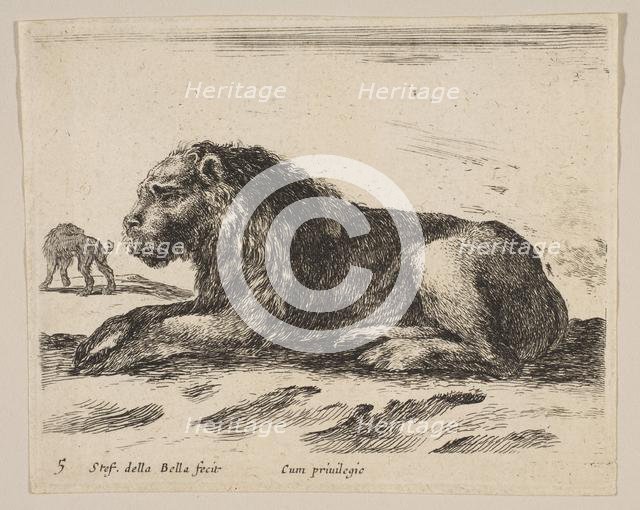 Plate 5: reclining lion, from 'Various animals' (Diversi animali), ca. 1641. Creator: Stefano della Bella.