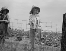 The landowner's daughter hoes cotton on a south Georgia farm, 1937. Creator: Dorothea Lange.