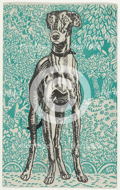 Greyhound, 1912. Creator: Moritz Jung.