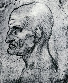 'Head of an Old Man', 1913. Artist: Leonardo da Vinci