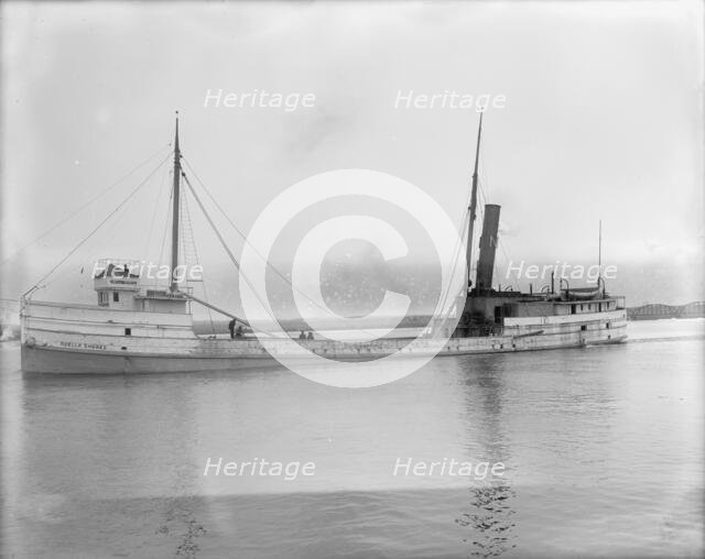 S.S. Adella Shores, between 1900 and 1910. Creator: Unknown.