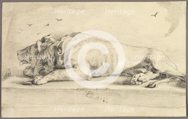 Reclining Lion, 1816. Creator: Edwin Henry Landseer.