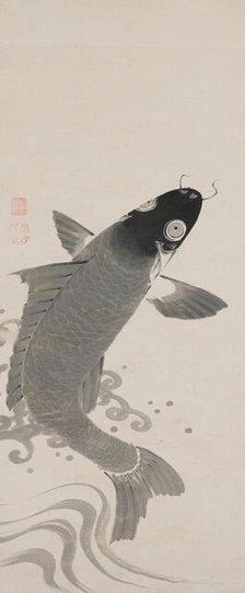 Carp, Second Half of the 18th cen.. Creator: Jakuchu, Ito (1716-1800).