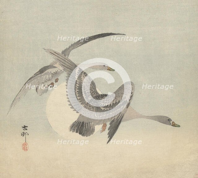 Two geese in flight. Creator: Ohara, Koson (1877-1945).