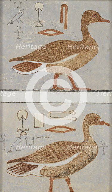 Copy of wall painting from a private tomb of Kaemankh, (III, 1, 132), Giza, geese, 20th century. Artist: Anna (Nina) Macpherson Davies.