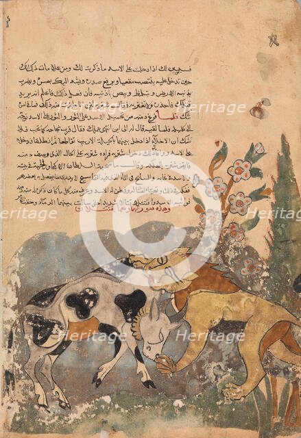Folio from a Kalila wa Dimna, 18th century. Creator: Unknown.