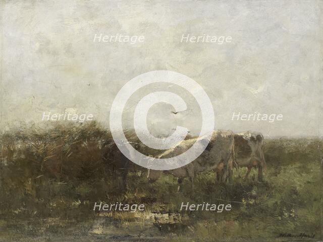 Koeien, 1880-1904. Creator: Willem Maris.