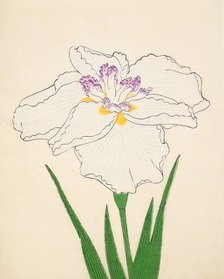 Cho-Hiyen, No. 91, 1890, (colour woodblock print)