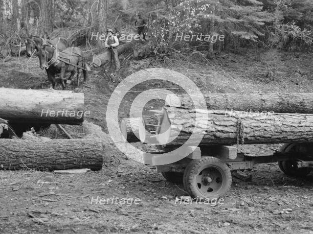 Members of Ola self-help sawmill co-op snaking a fir log down to the truck, Gem County, Idaho, 1939. Creator: Dorothea Lange.
