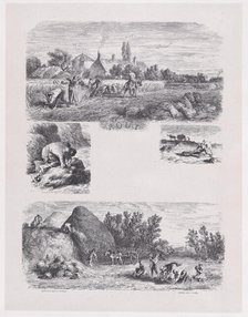 August from Album of Rustic Subjects, 1859. Creator: Jacques-Adrien Lavieille.