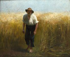 Harvester, 1895. Creator: Waclaw Szymanowski.
