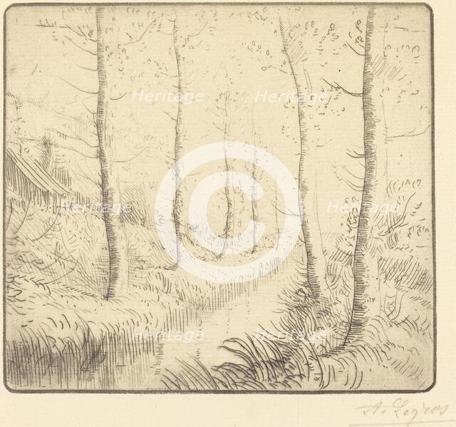 Birch Trees along the Water (Les bouleaux: Bord de l'eau). Creator: Alphonse Legros.