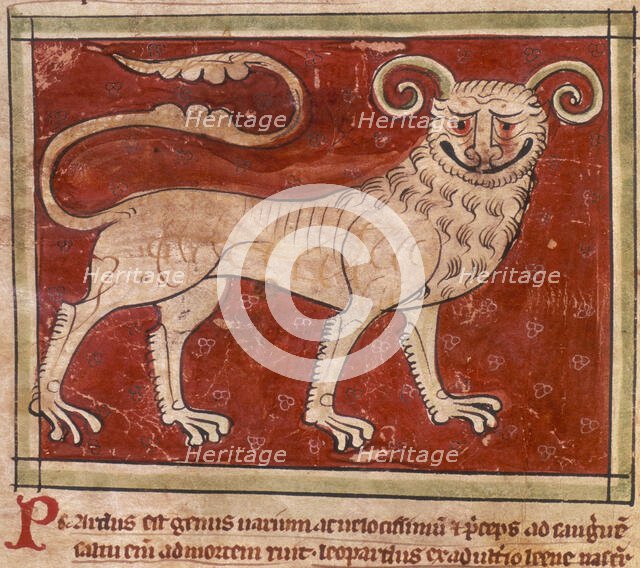 A leopard, 14th century. Creator: Unknown.