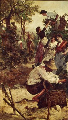  'The Grape harvest, 1900. Oil by F.M. Moles.