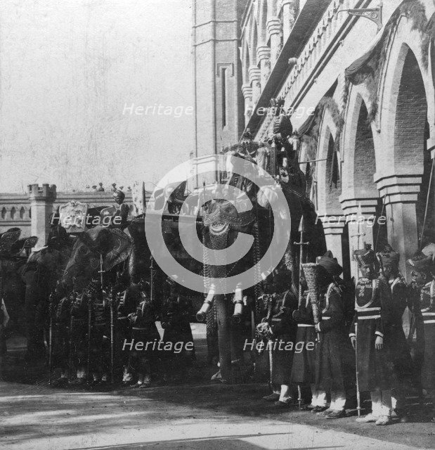 The viceroy's elephant, Delhi, India, 1900s.Artist: H Hands & Son